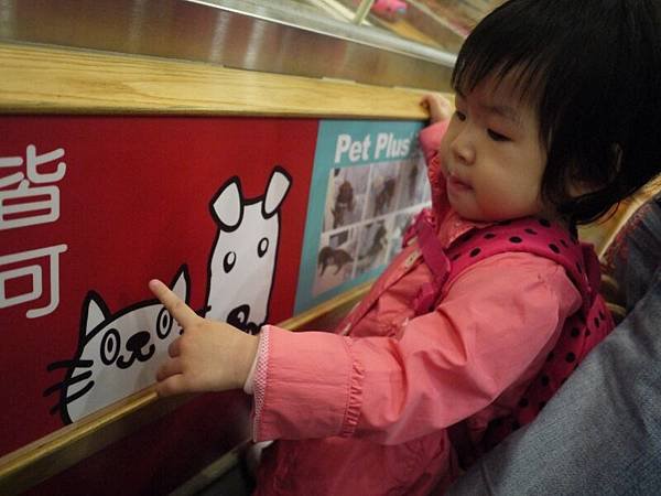 P1030690.JPG