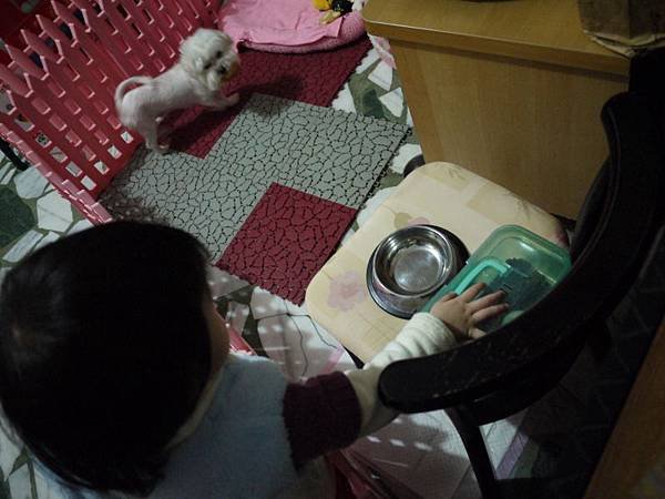 P1080317.JPG