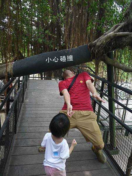 P1160127.JPG