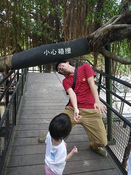 P1160128.JPG