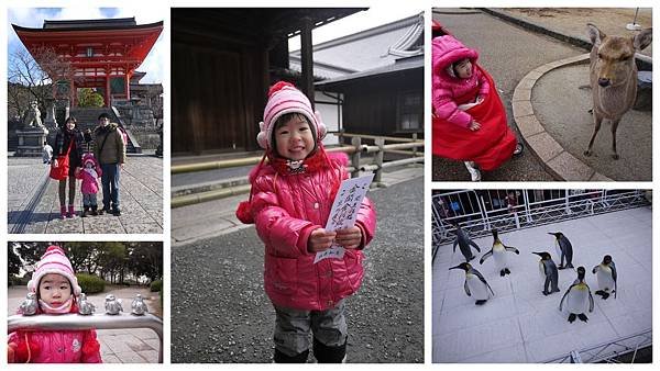 2012日本冬之旅組合圖1