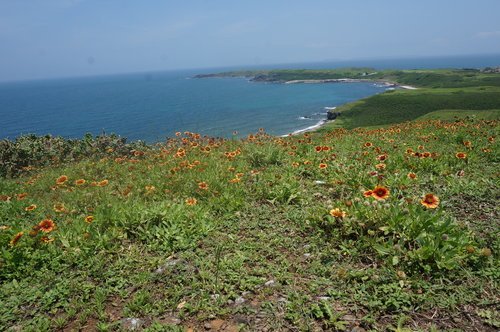 DSC08561