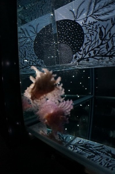 DSC09142_調整大小 .JPG