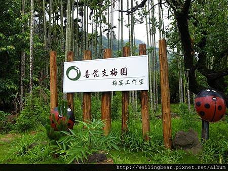 喜覺支梅餐