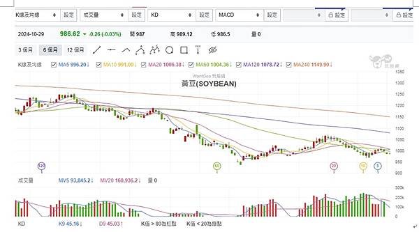 黃豆期貨是什麼?海期優惠價大昌廖維凌