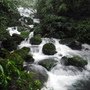 第二天溪水變大變急