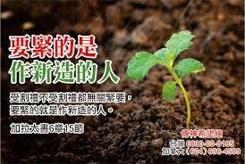 【靈修心得241031】要緊的就是......