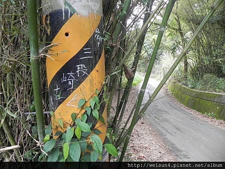 DSCN9126_三段崎古道_電線桿