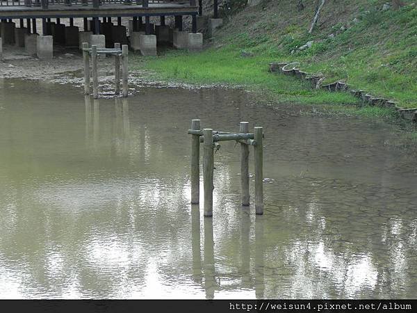 青青草原_DSCN1663_水水公園.JPG