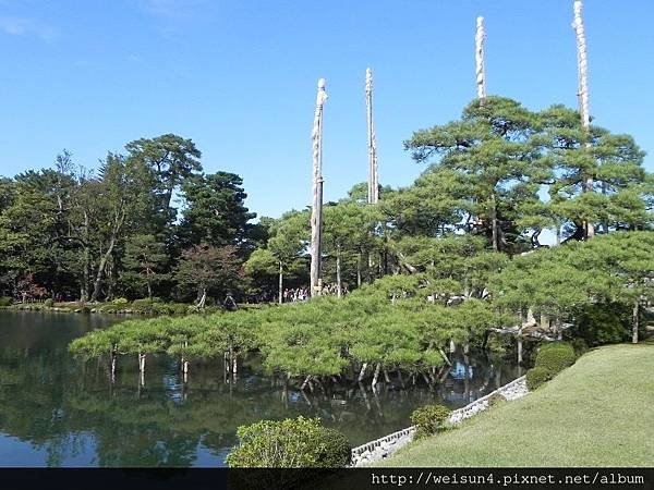 北陸_DSCN1942_兼六園_雪吊.JPG