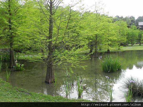 雲水度假森林_DSCN1731_羽松湖.JPG