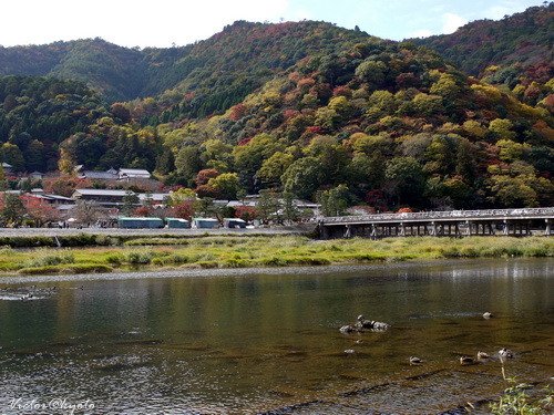 嵐山渡月橋002.JPG