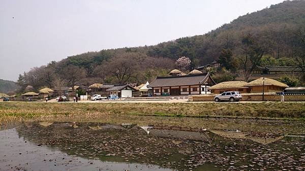 &apos;14 韓國釜山．慶州．鎮海賞櫻 