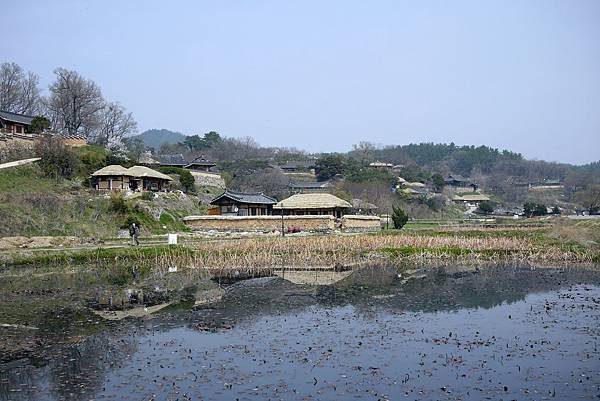 &apos;14 韓國釜山．慶州．鎮海賞櫻 
