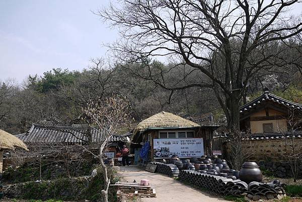 &apos;14 韓國釜山．慶州．鎮海賞櫻 