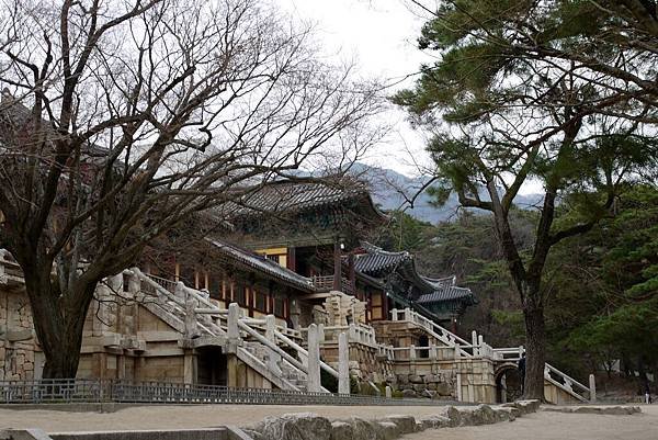 &apos;14 韓國釜山．慶州．鎮海賞櫻