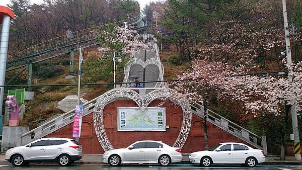 &apos;14 韓國釜山．慶州．鎮海賞櫻