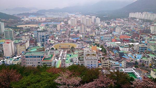 &apos;14 韓國釜山．慶州．鎮海賞櫻