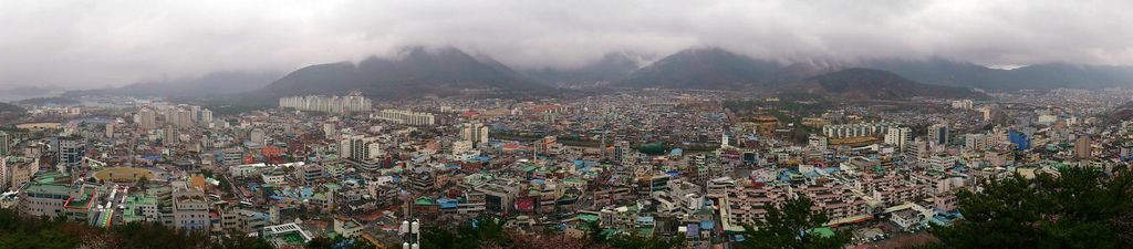 &apos;14 韓國釜山．慶州．鎮海賞櫻