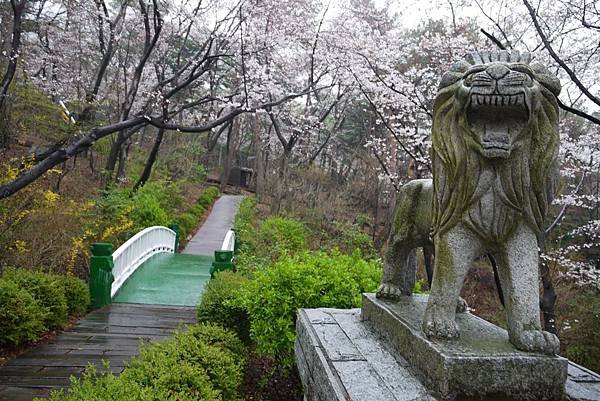 &apos;14 韓國釜山．慶州．鎮海賞櫻