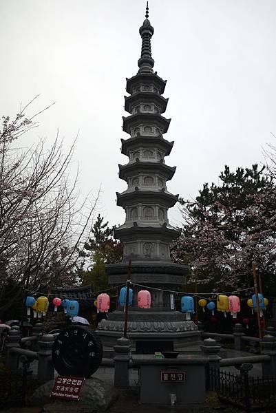 &apos;14 韓國釜山．慶州．鎮海賞櫻