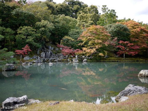 天龍寺 017.jpg