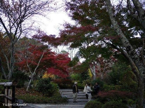 天龍寺 028.jpg