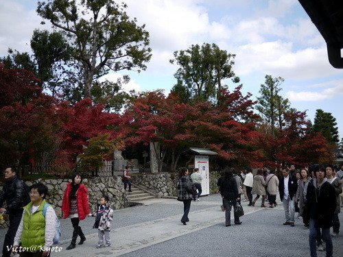 天龍寺 009.jpg