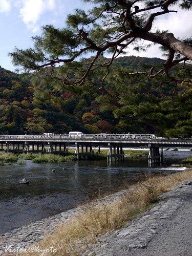 嵐山渡月橋005.JPG