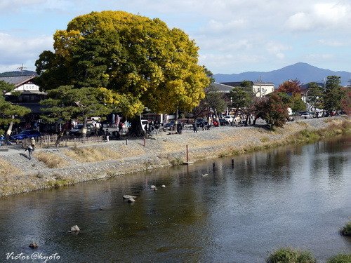 嵐山渡月橋011.JPG