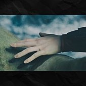 S__23912482.jpg
