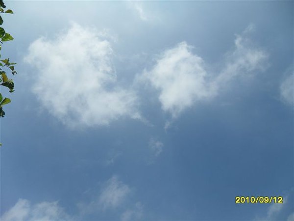 SAM_0093.JPG