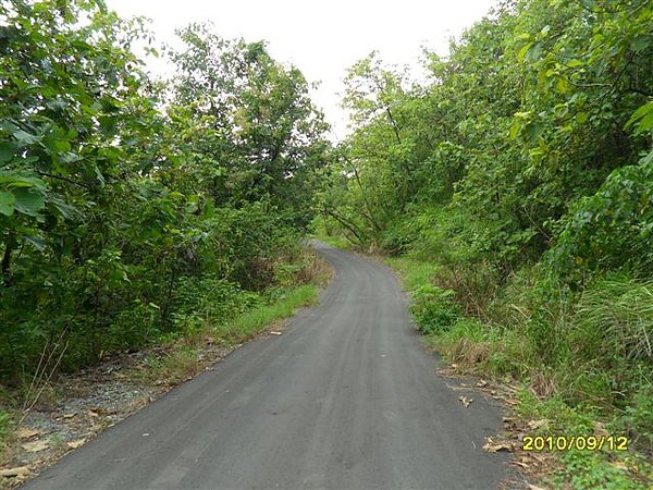 SAM_0087.JPG