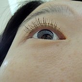 照片 519