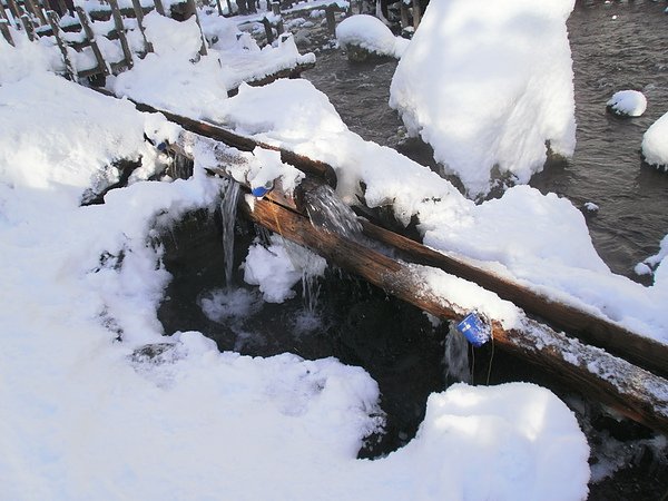 可以喝的山泉水.JPG