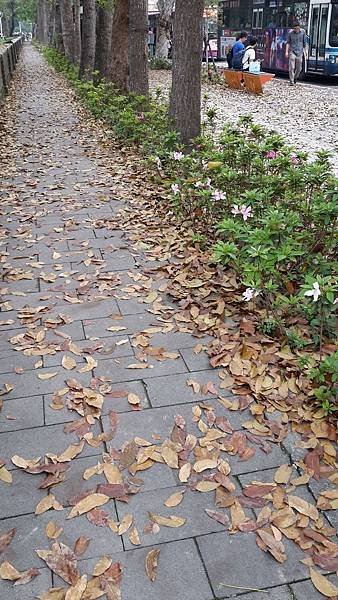 20170415_161214.jpg