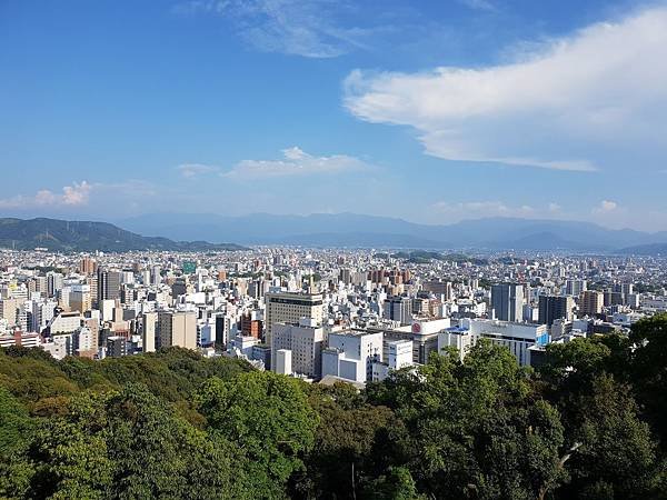 20180803_162004.jpg