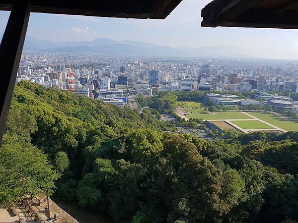 20180803_164102.jpg