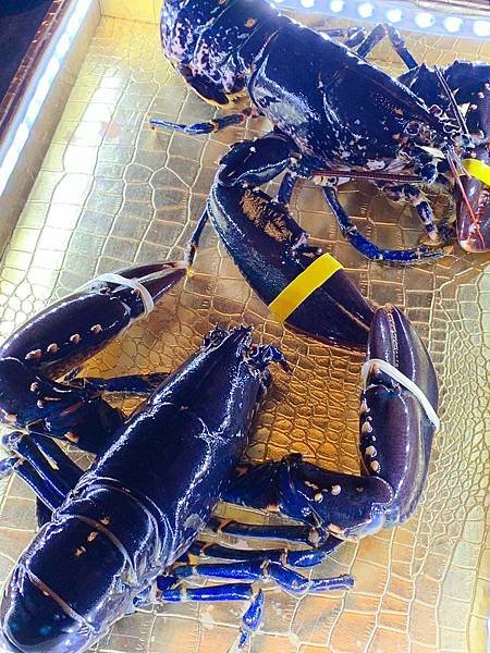 20180924_115610-1.jpg