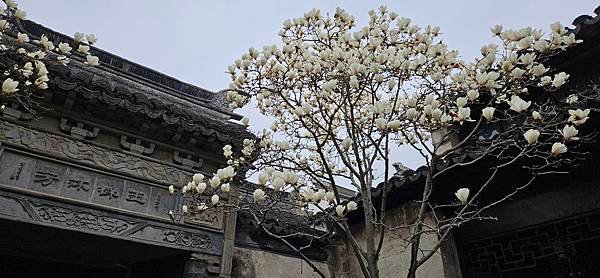 〔2024江蘇出差〕昆山 中國第一水鄉周庄 (要注意~遊陸景