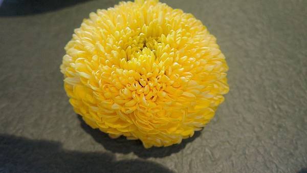 DSCN1779.JPG