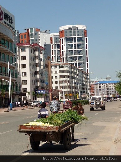P1100157.JPG