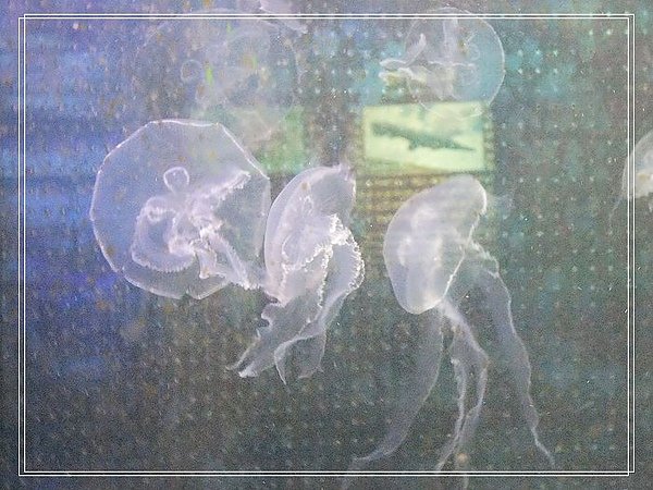 DSCF5393.jpg