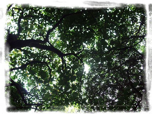DSCF5873.jpg