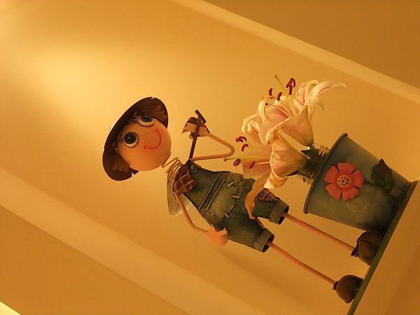 DSCF1570_調整大小.JPG