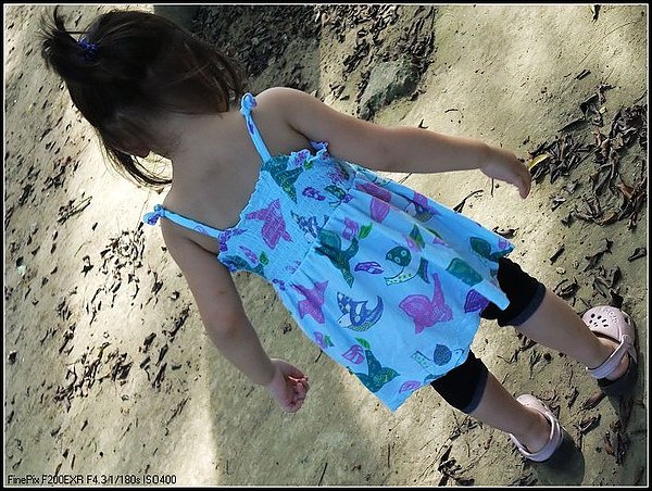 DSCF3519.jpg