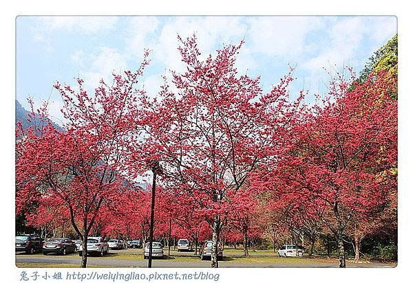 IMG_6638-1_副本.jpg