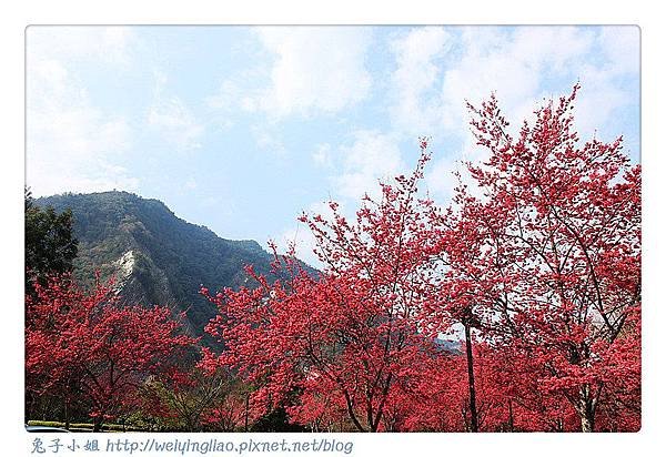 IMG_6639-1_副本.jpg