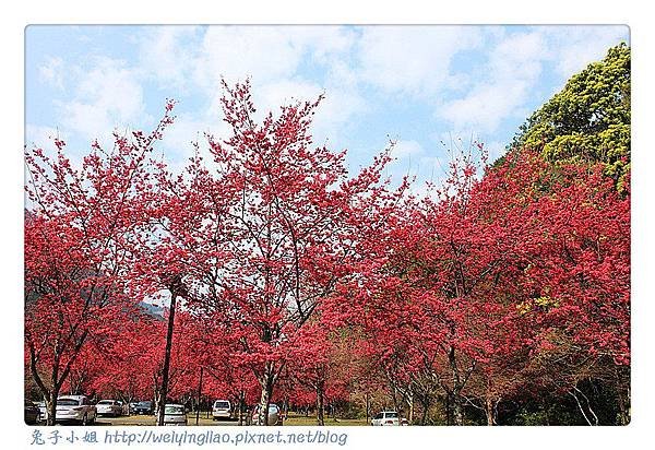 IMG_6641-1_副本.jpg