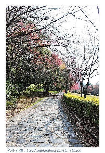 IMG_6647-1_副本.jpg